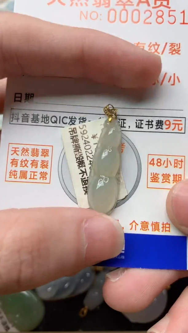 【闪购商品】翡翠颈饰18K金镶嵌2.............