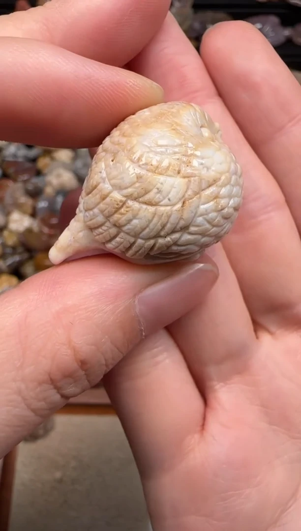 硅化珊瑚（珊瑚玉）未镶嵌颈饰557