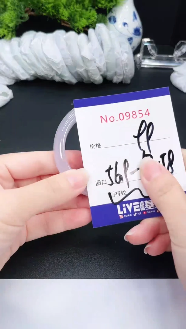 未镶嵌手镯翡翠9854