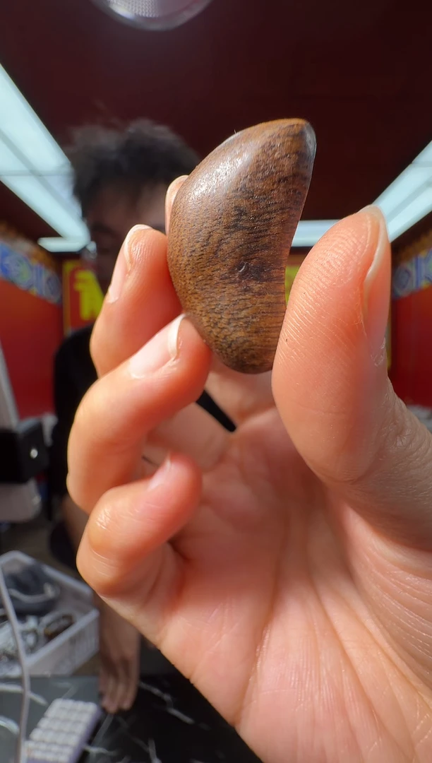 沉香吊坠s101富森多样性发一