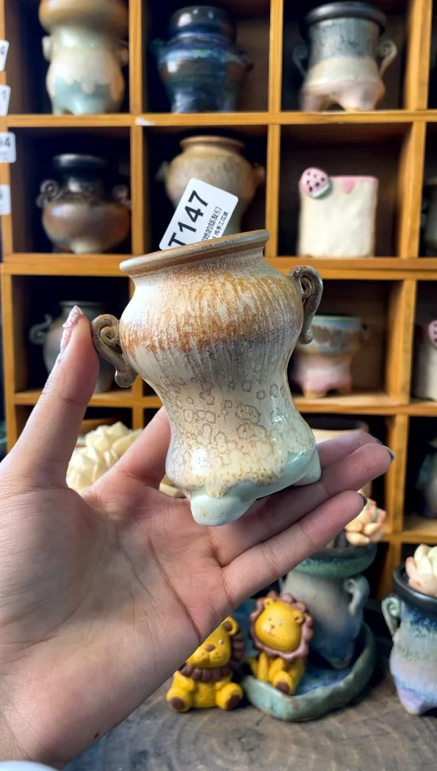 147内口4【多肉花盆多肉盆】