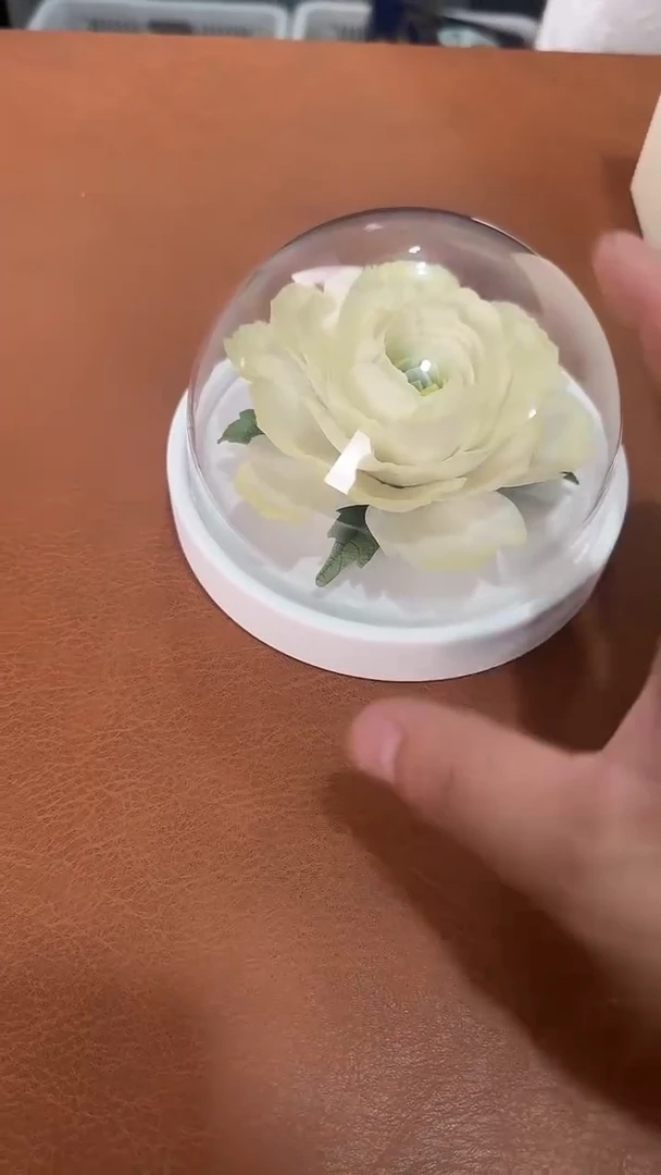 杯杯杯杯杯杯杯杯杯杯杯