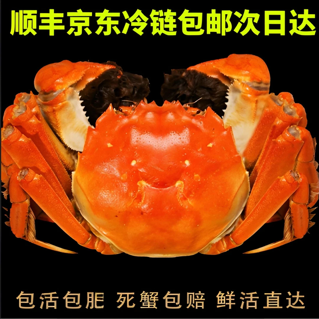 【活蟹】现捕现捞大闸蟹公4.0-3.7两母3-2.7两母共8-10只N