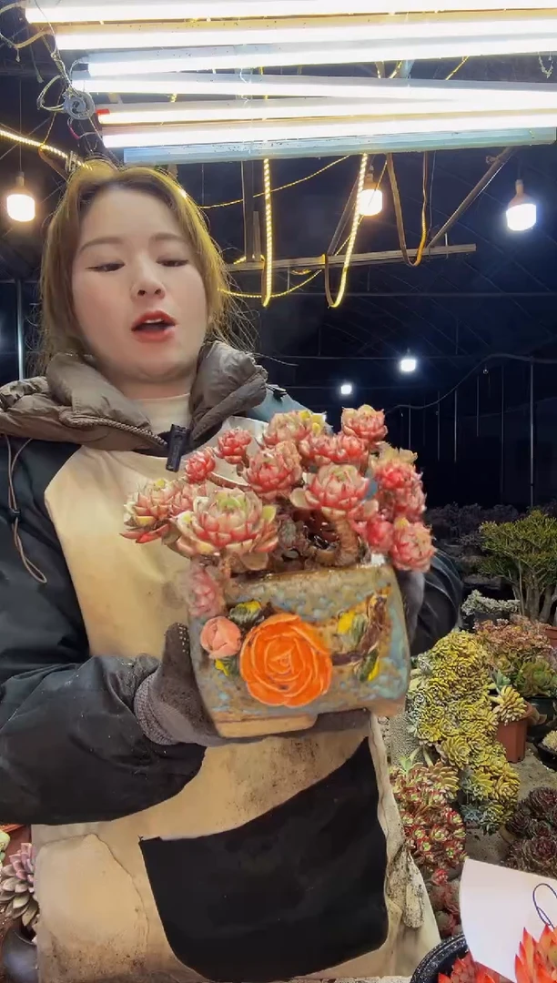 【闪购商品】9号一物一拍脱土包邮