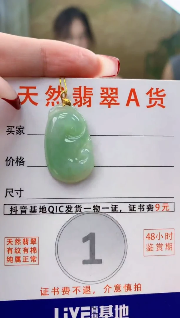 颈饰未镶嵌翡翠 天然A货翡翠挂件