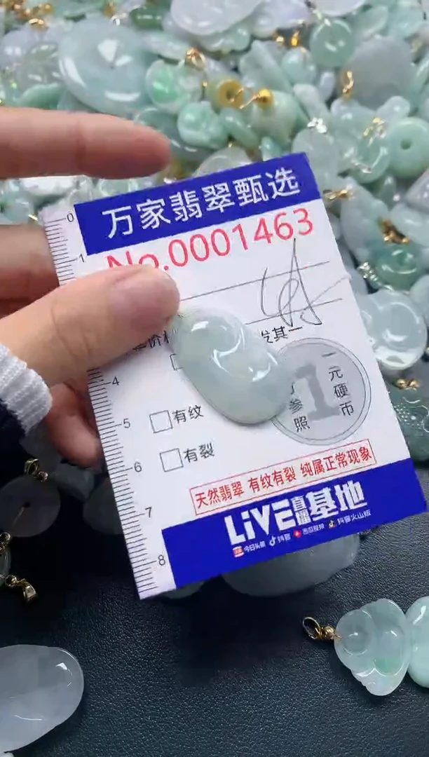 吊坠(不含链)未镶嵌翡翠1463