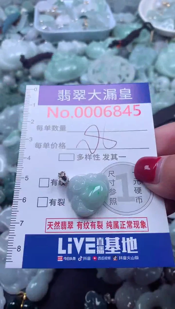 颈饰未镶嵌翡翠6845