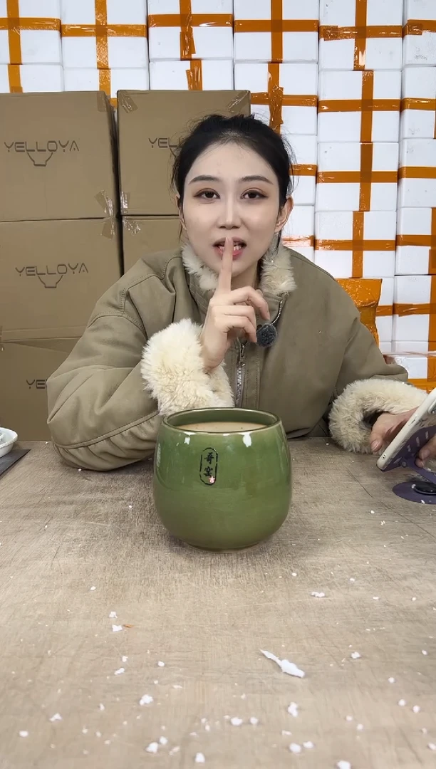 龙蛋裂纹深绿13x13微瑕