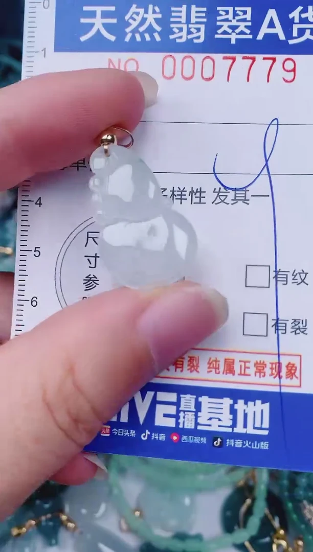 颈饰未镶嵌翡翠00007779