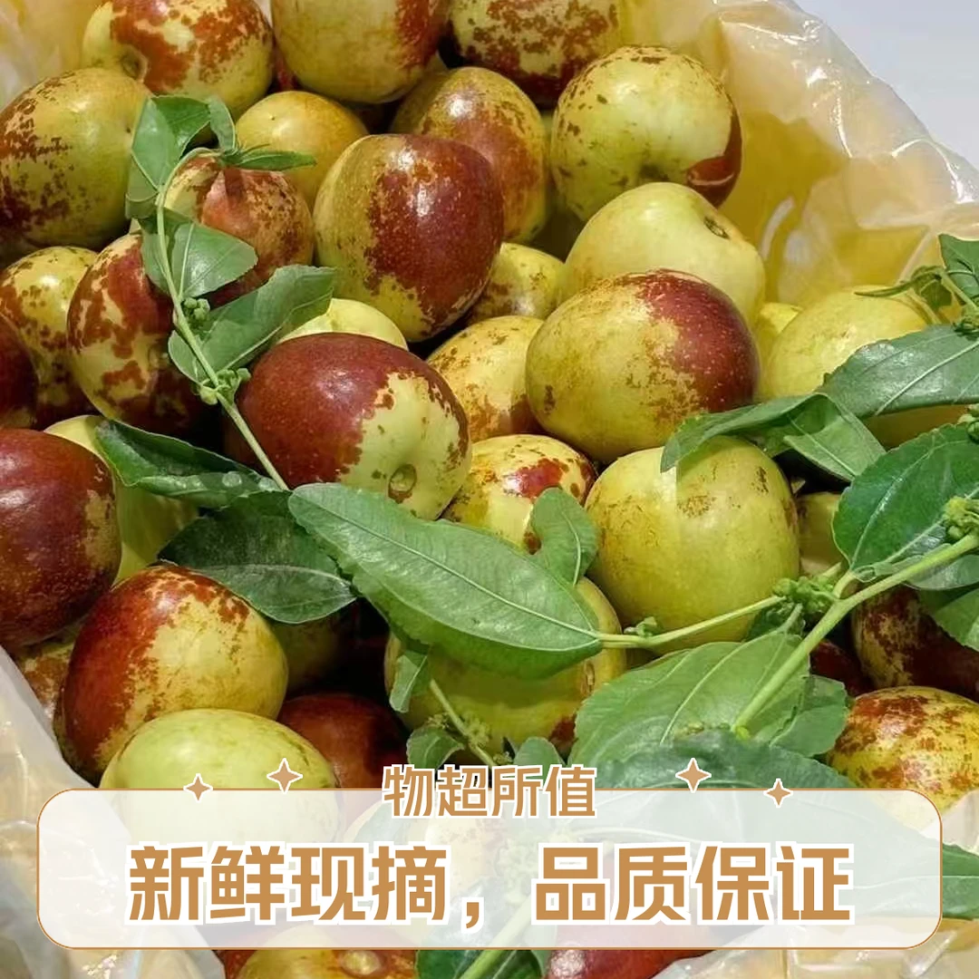 陕西大荔冬枣25.8/斤王中王超大个头！