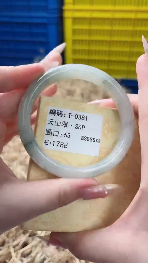 未镶嵌手镯石英质玉T-0381