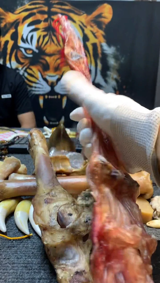 把件驼骨整根的津津一个