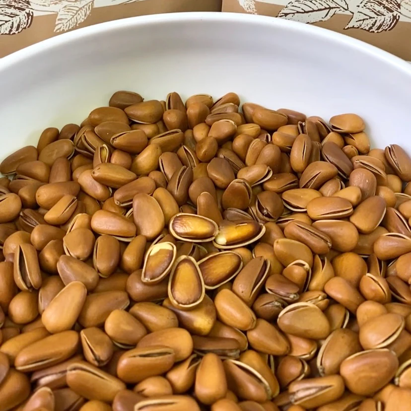 2024年吉林长白山特产野生开口松子松香酥脆皮薄仁满东北特产坚果