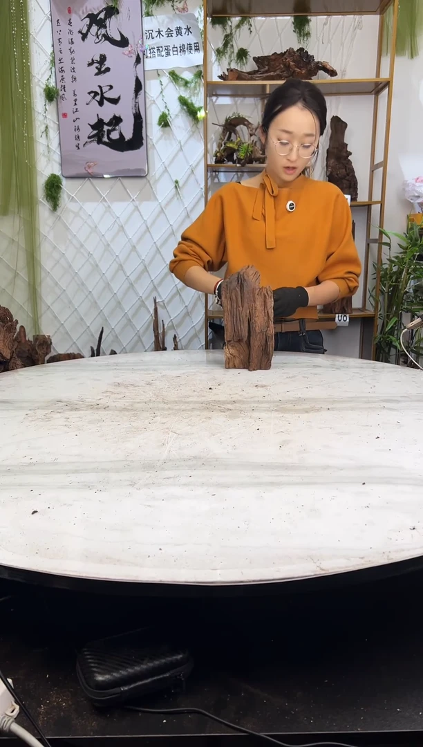 紫柚木沉木造景，会黄水，部分需泡沉