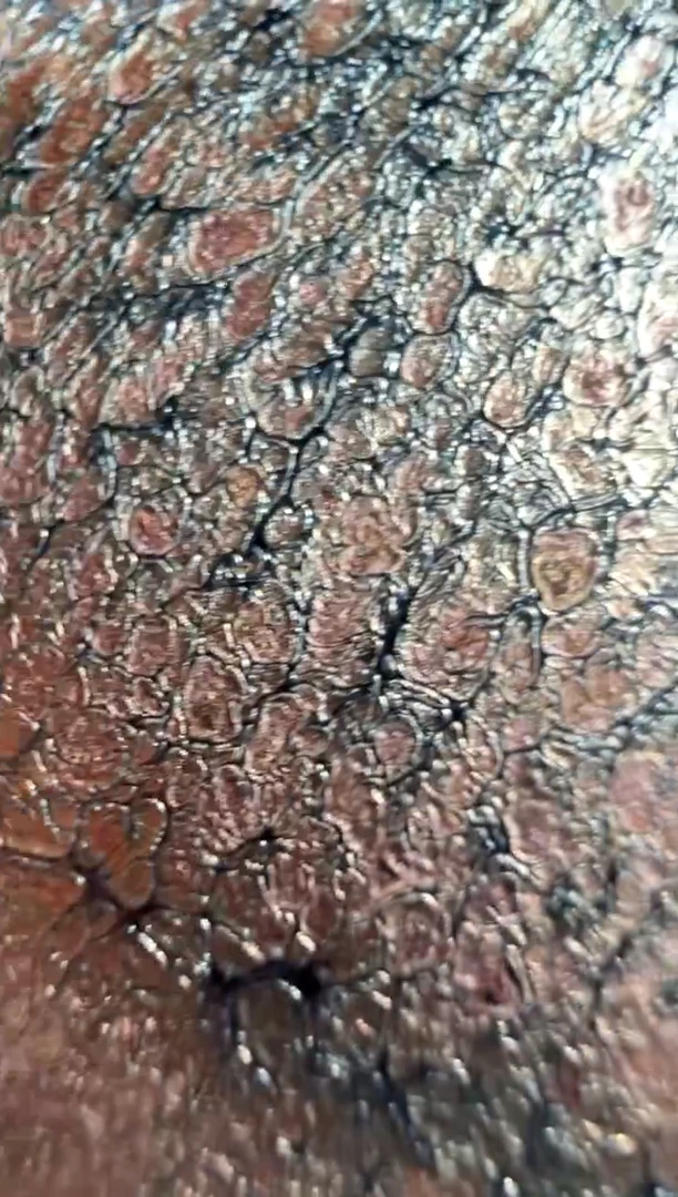 茶盏蔡炳盛高端收藏20