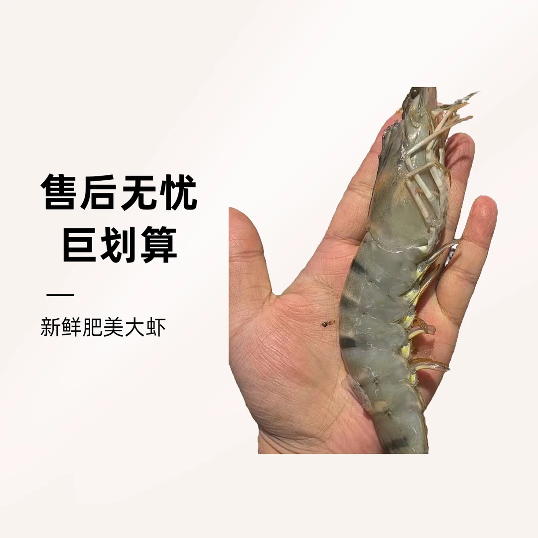 船冻黑虎虾，3斤现称【辽宁省内包邮，快递次日达】大虾