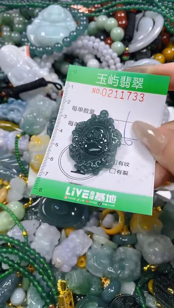 颈饰未镶嵌翡翠闪购0211733