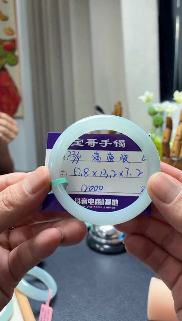 未镶嵌手镯翡翠翡翠手镯6