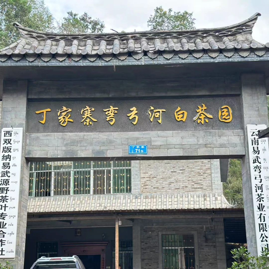 丁家寨弯弓河白茶园71号【通用链】弯弓古树高杆200克接普洱茶