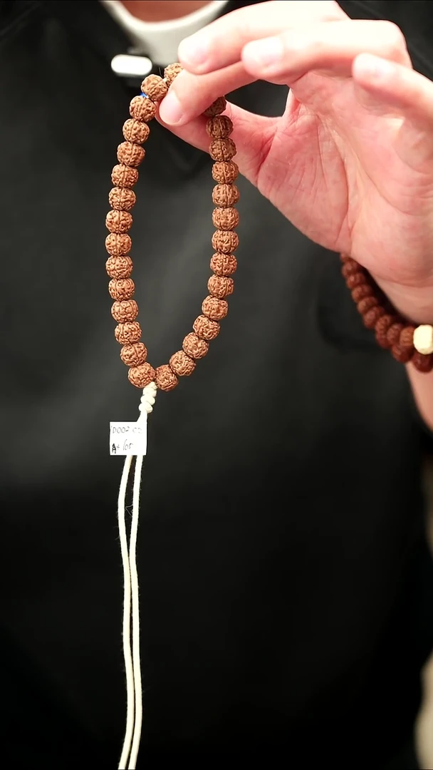 手串金刚菩提10mm葛地里产区原桩盘龙纹单圈无工具