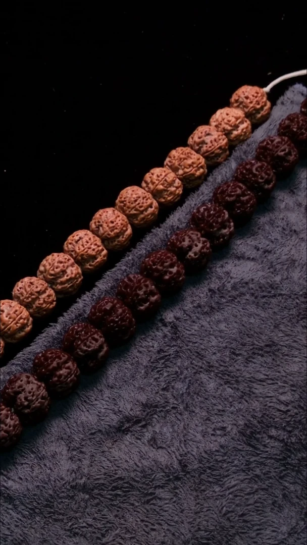 金刚菩提手串古龙19-20