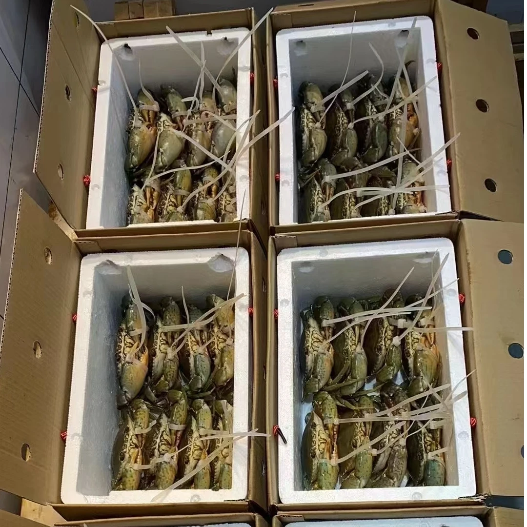 （鲜活送礼佳品）未开价勿拍，三门青蟹公蟹母蟹鲜活现挑现称