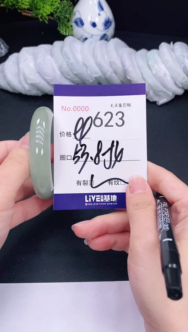 未镶嵌手镯翡翠623