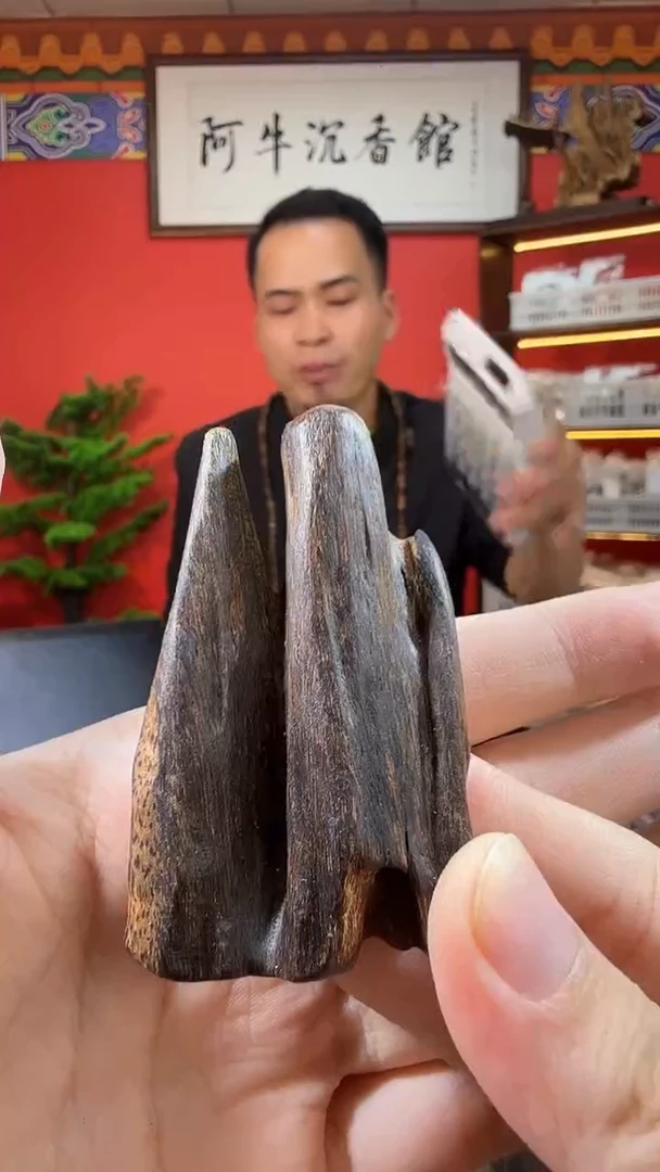 沉香吊坠Q84海南17g多样性发一