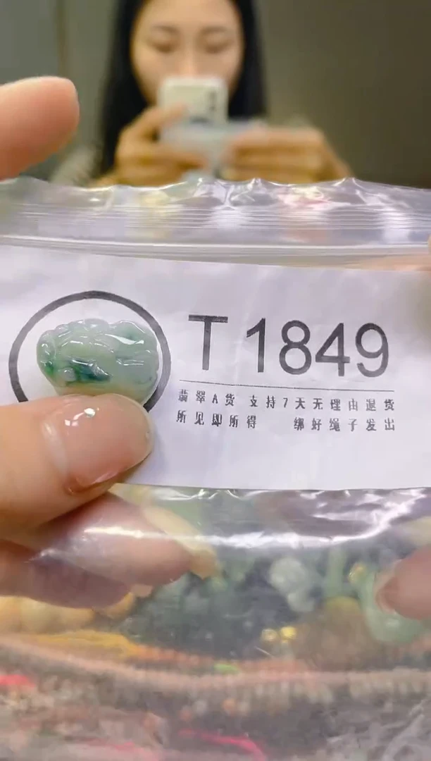 翡翠未镶嵌颈饰/T/翡翠A货一图一物