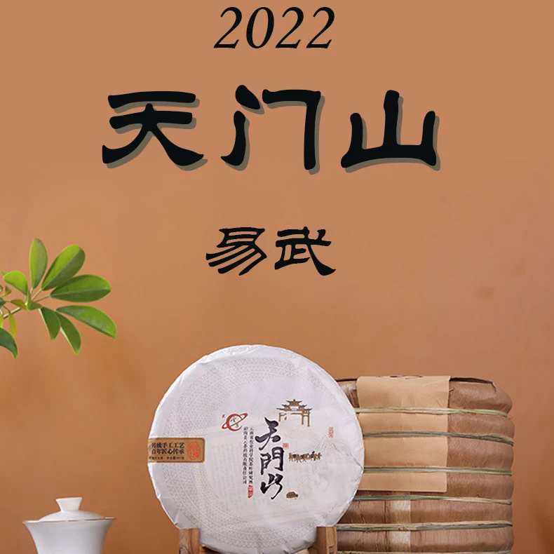 年货节 茶科所 云茶 2022年天门山普洱茶生茶357克/饼