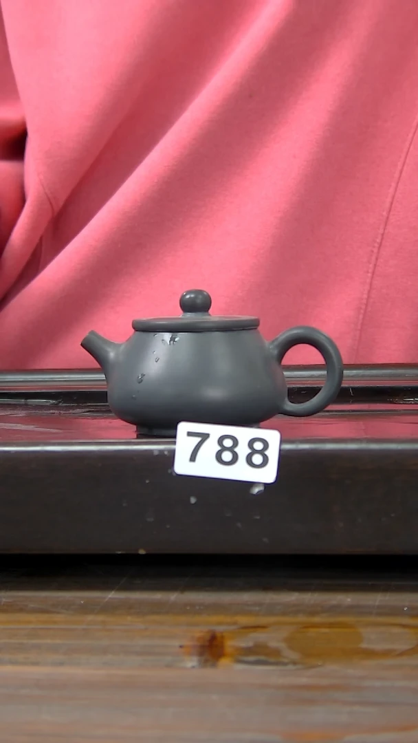 【闪购商品】贵台龙窑柴烧茶壶788