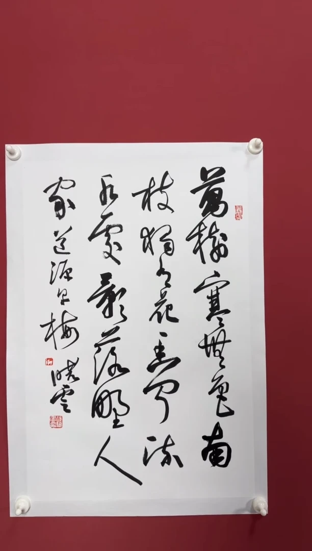 书法早梅书法1111