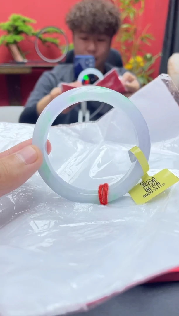 未镶嵌手镯翡翠5