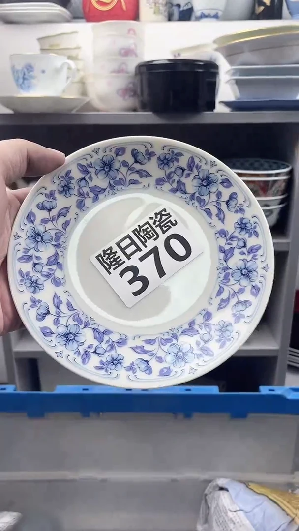 【闪购商品】瓷片longritaoci370