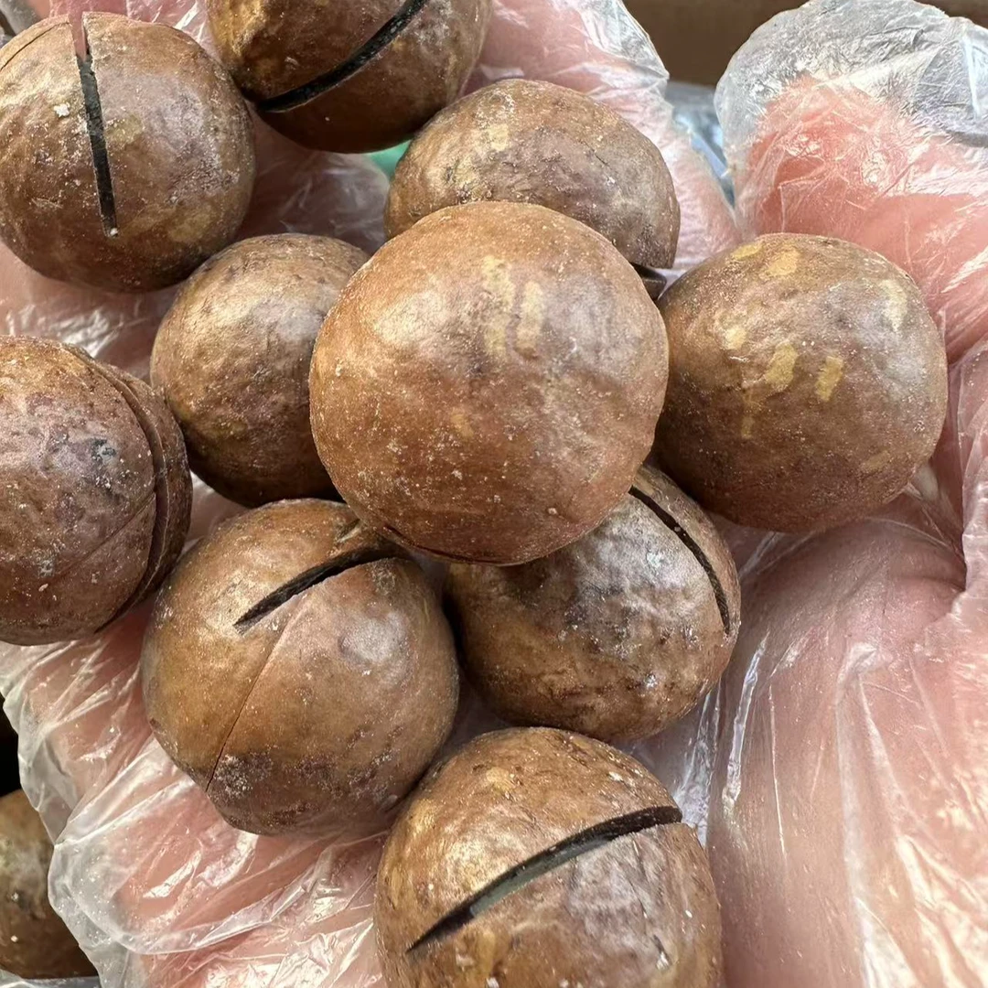 【益娜娜】夏威夷果