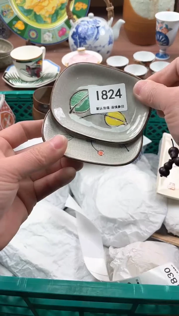 【闪购商品】瓷片824