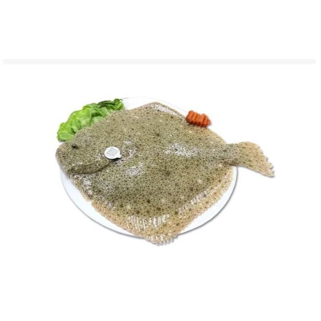 多宝鱼-冰鲜（现场复秤2-4斤/条）顺丰包邮，有延迟