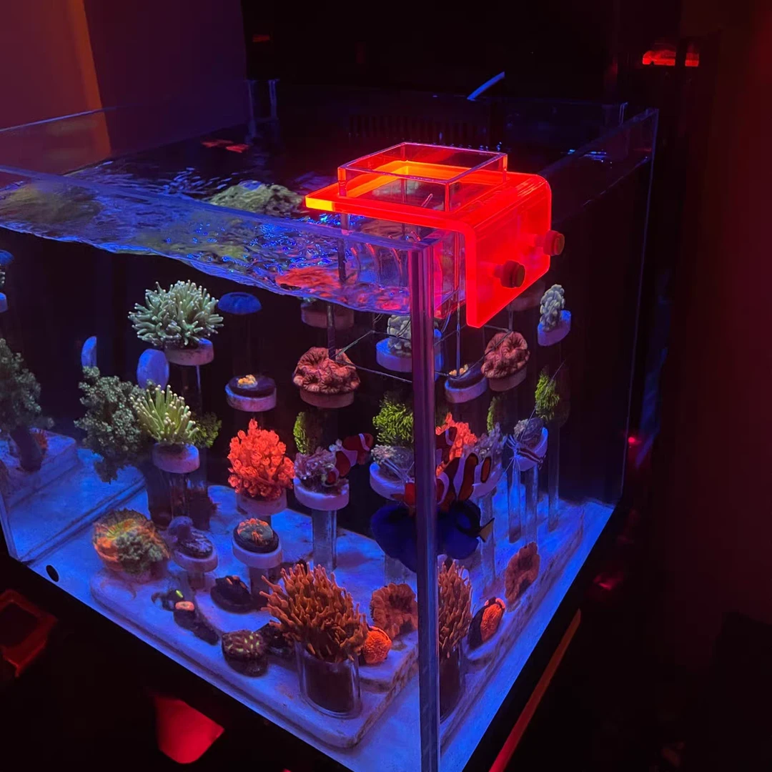 鱼缸防扩散喂食圈海缸荧光投喂圈挂缸壁喂鱼防浑水防夹鱼喂食器