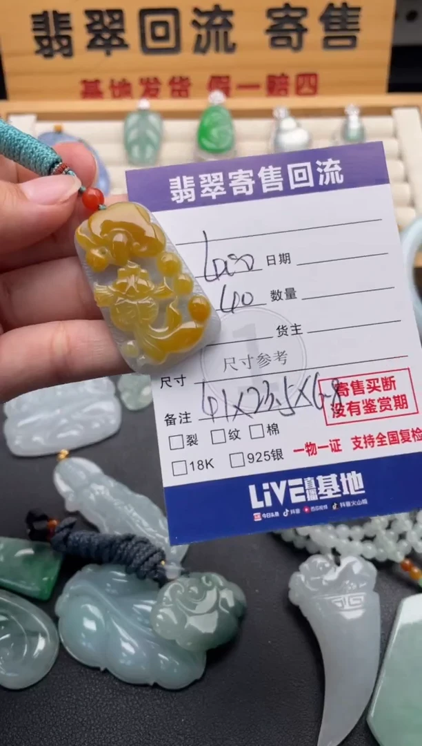 颈饰未镶嵌翡翠10147001