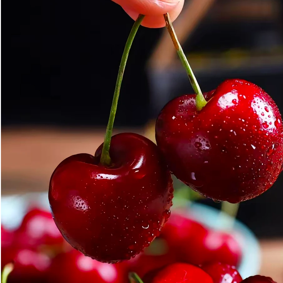 【车厘子】智利海运车厘子3J进口车厘子5斤内附果径卡拉宾斯酸甜口智利共和国