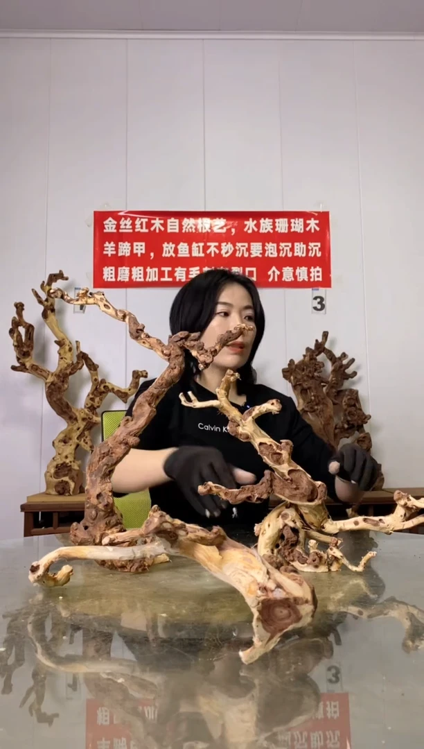【闪购商品】木30金丝红木 羊蹄甲