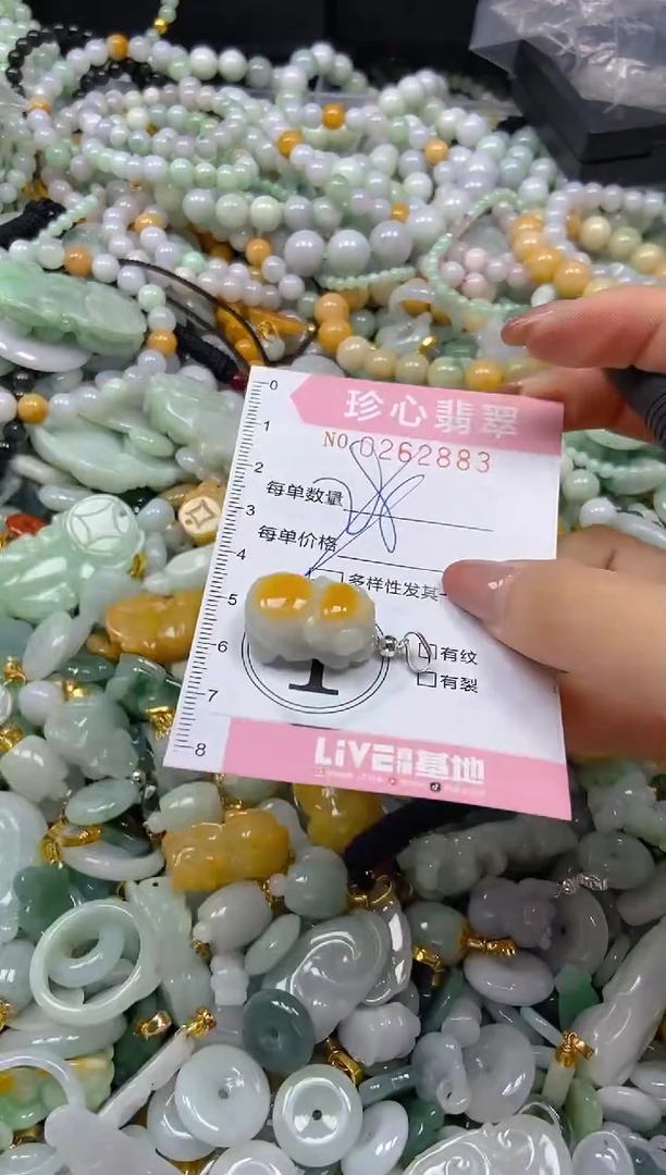 翡翠未镶嵌颈饰闪购0262883多样性发其一