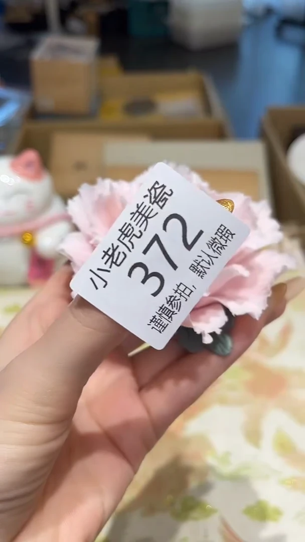 瓷片『瓷器小老虎美瓷』MDXC