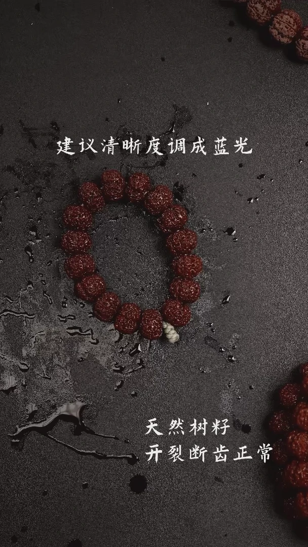 手串金刚菩提云巅梅花超头（18.19.20尺寸可备注）.158