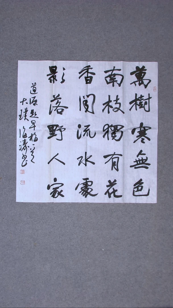 书法林海涛 珠海69*69（6）