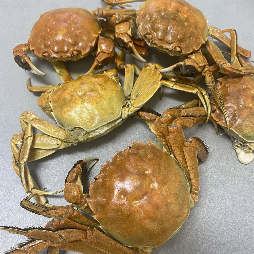 1.7-1.8两顺丰包邮包活到家螃蟹链接