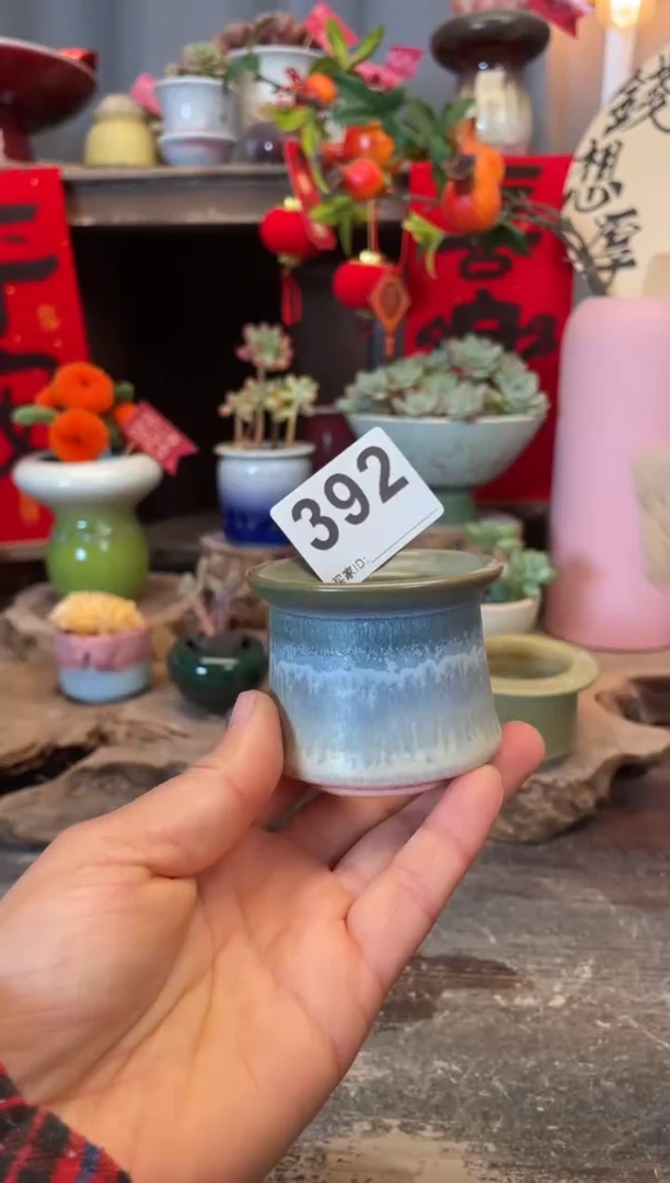 【闪购商品】摆件392知木小芳花盆