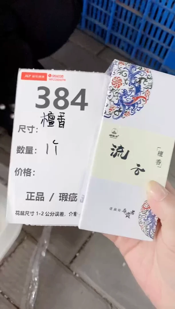 小玩子花盆直播号384