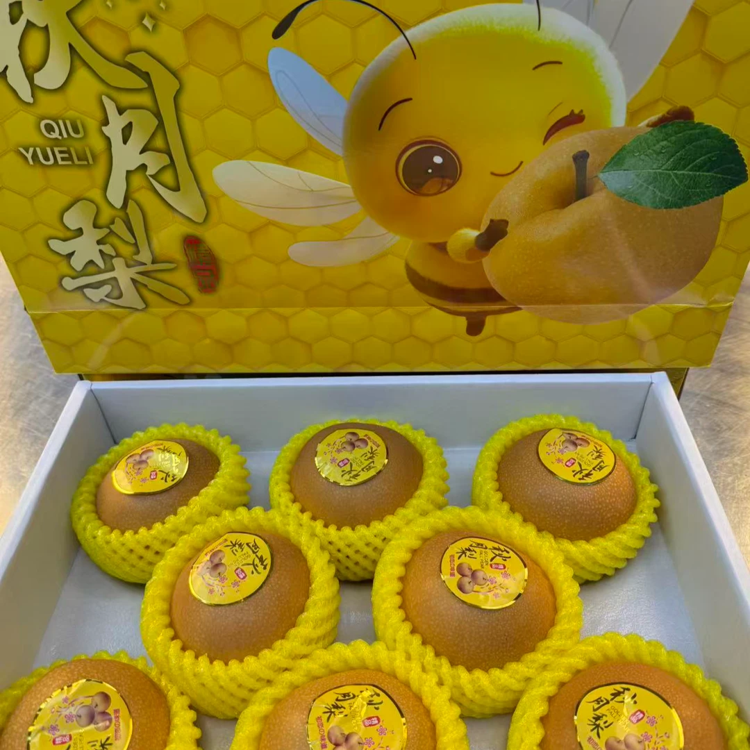 【中秋礼盒】山东莱西秋月梨1箱8颗7-8斤  顺丰包邮