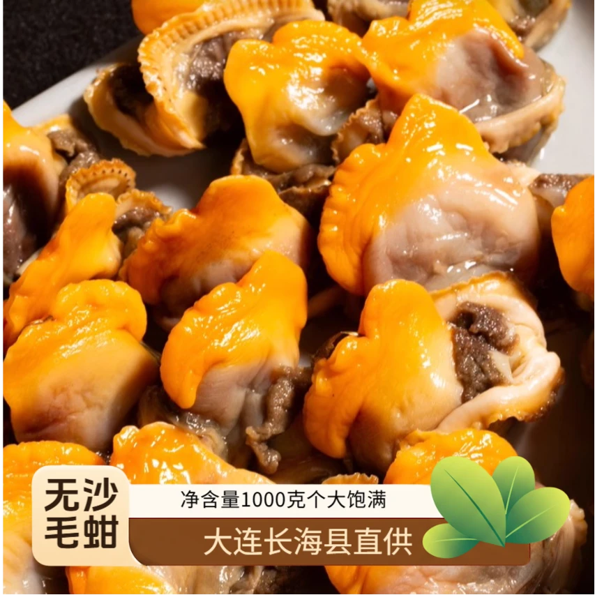 无沙毛蛤蜊大连长海县直供赤贝毛蛤子赤身品质顺丰包邮鲜嫩饱满